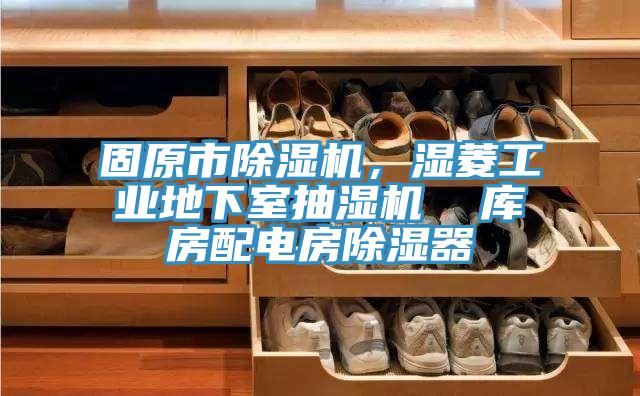 固原市除湿机,湿菱工业地下室抽湿机 库房配电房除湿器