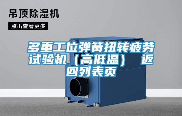 多重工位弹簧扭转疲劳试验机（高低温） 返回列表页