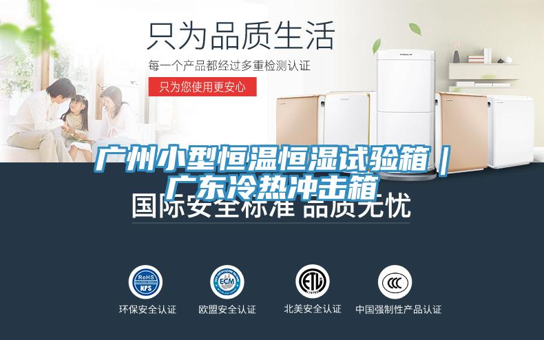 广州小型恒温恒湿试验箱｜广东冷热冲击箱