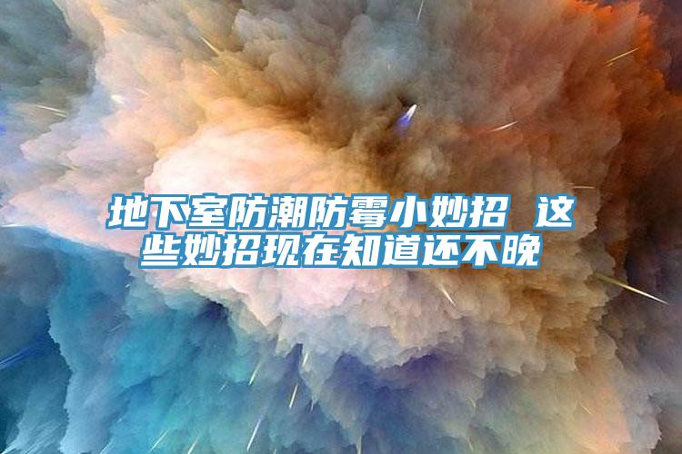 地下室防潮防霉小妙招 这些妙招现在知道还不晚