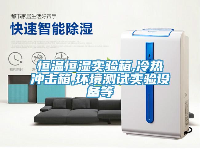 恒温恒湿实验箱,冷热冲击箱,环境测试实验设备等