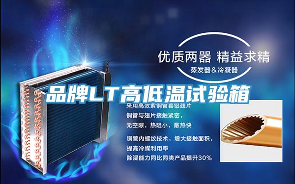 品牌LT高低温试验箱