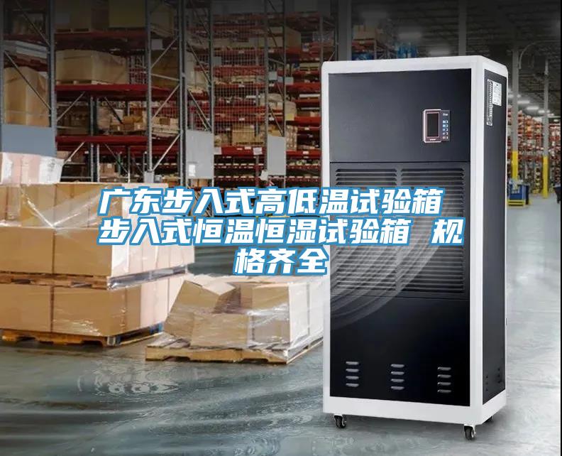 广东步入式高低温试验箱 步入式恒温恒湿试验箱 规格齐全