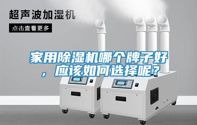 家用除湿机哪个牌子好，应该如何选择呢？