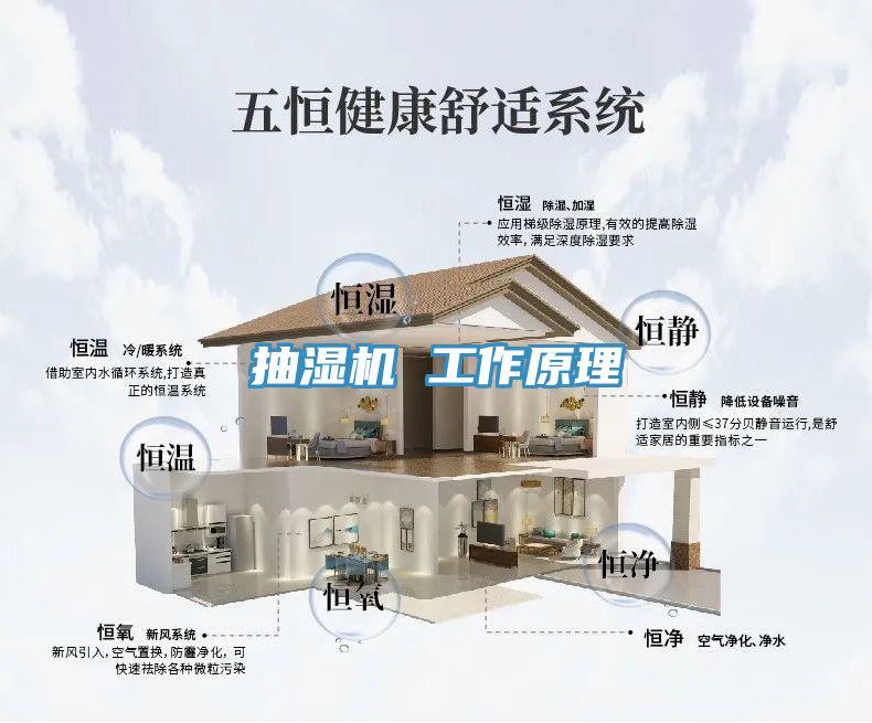 抽湿机 工作原理