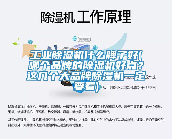 工业除湿机什么牌子好(哪个品牌的除湿机好点？这几个大品牌除湿机一定要看)