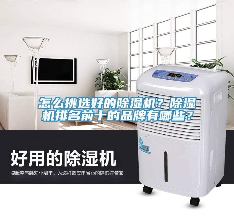 怎么挑选好的除湿机？除湿机排名前十的品牌有哪些？