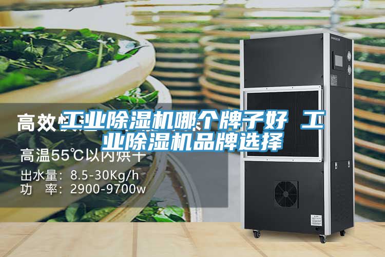 工业除湿机哪个牌子好 工业除湿机品牌选择