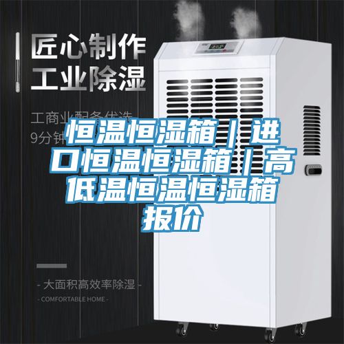 恒温恒湿箱｜进口恒温恒湿箱｜高低温恒温恒湿箱报价