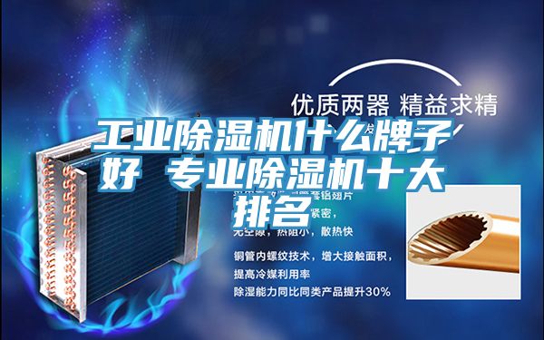 工业除湿机什么牌子好 专业除湿机十大排名