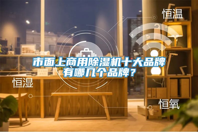市面上商用除湿机十大品牌有哪几个品牌？