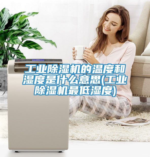 工业除湿机的温度和湿度是什么意思(工业除湿机最低湿度)