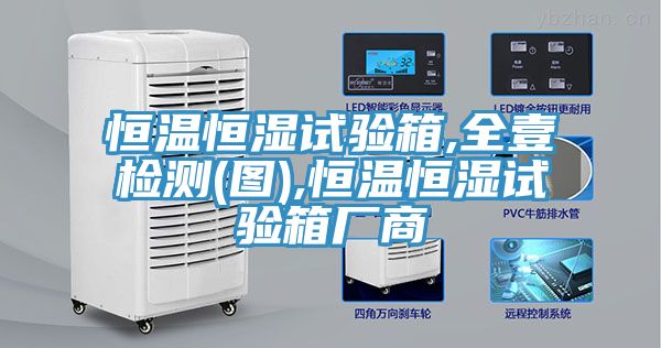 恒温恒湿试验箱,全壹检测(图),恒温恒湿试验箱厂商