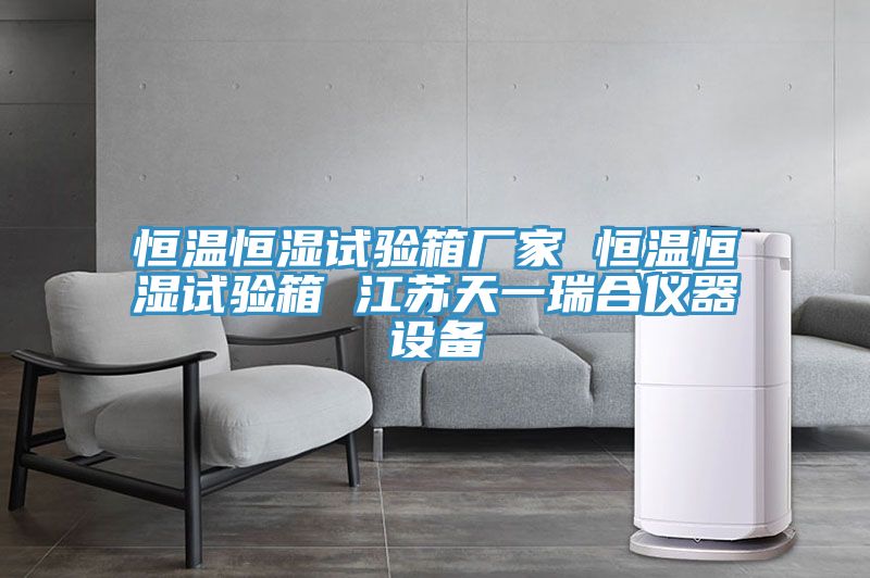 恒温恒湿试验箱厂家 恒温恒湿试验箱 江苏天一瑞合仪器设备