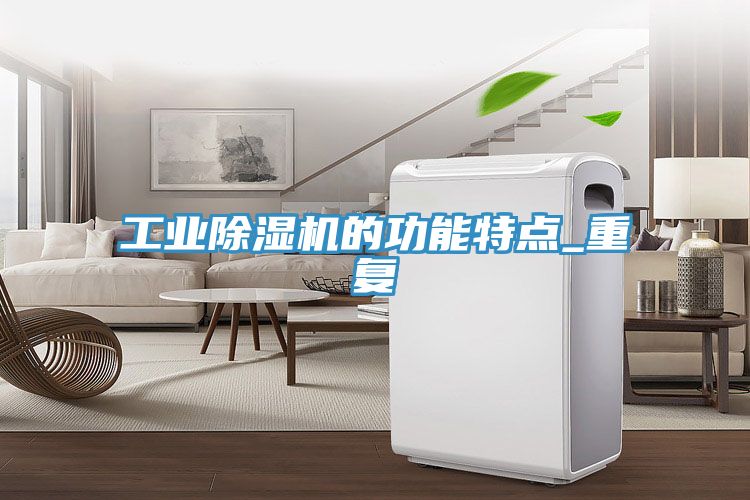 工业除湿机的功能特点_重复