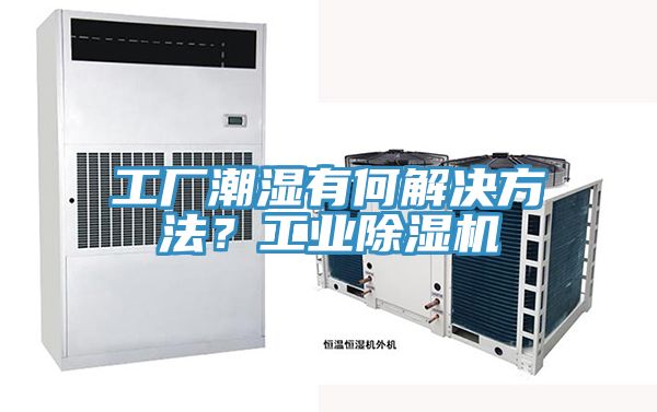工厂潮湿有何解决方法？工业除湿机