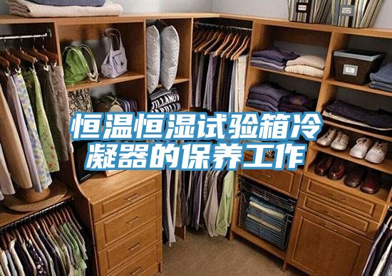 恒温恒湿试验箱冷凝器的保养工作