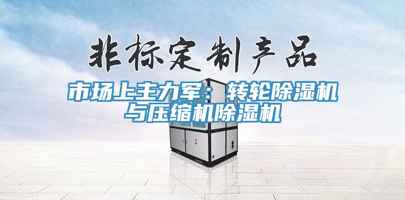 市场上主力军：转轮除湿机与压缩机除湿机