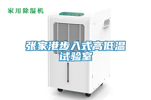 张家港步入式高低温试验室