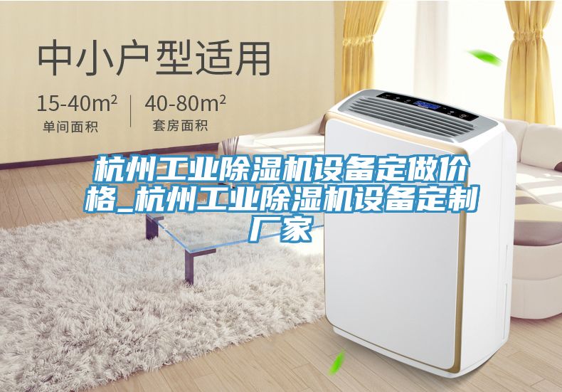 杭州工业除湿机设备定做价格_杭州工业除湿机设备定制厂家