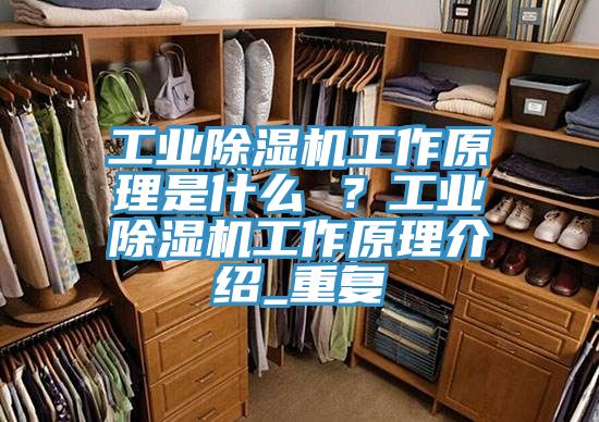 工业除湿机工作原理是什么 ？工业除湿机工作原理介绍_重复