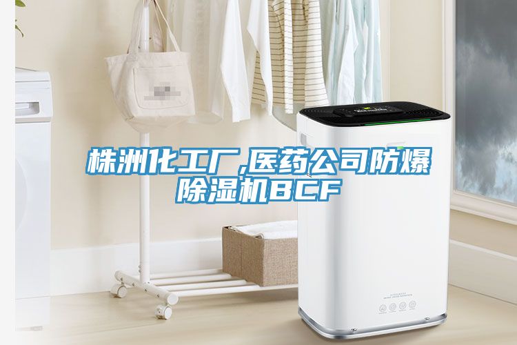 株洲化工厂,医药公司防爆除湿机BCF