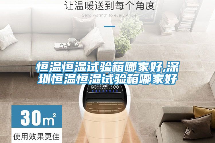 恒温恒湿试验箱哪家好,深圳恒温恒湿试验箱哪家好