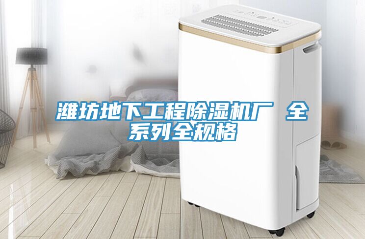 潍坊地下工程除湿机厂 全系列全规格