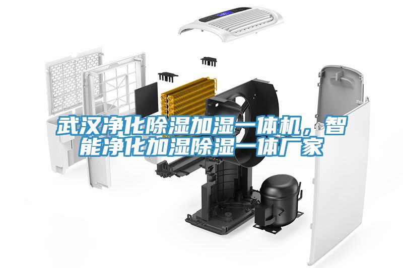 武汉净化除湿加湿一体机，智能净化加湿除湿一体厂家