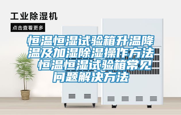 恒温恒湿试验箱升温降温及加湿除湿操作方法 恒温恒湿试验箱常见问题解决方法