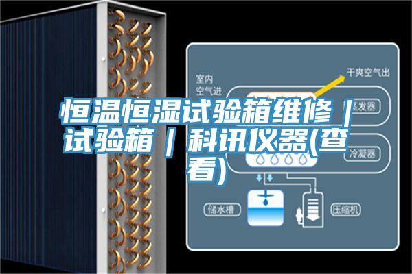 恒温恒湿试验箱维修｜试验箱｜科讯仪器(查看)