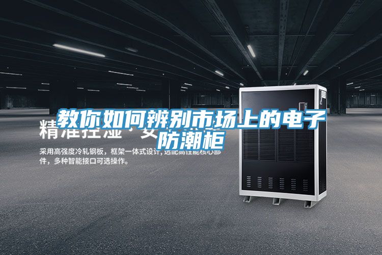 教你如何辨别市场上的电子防潮柜