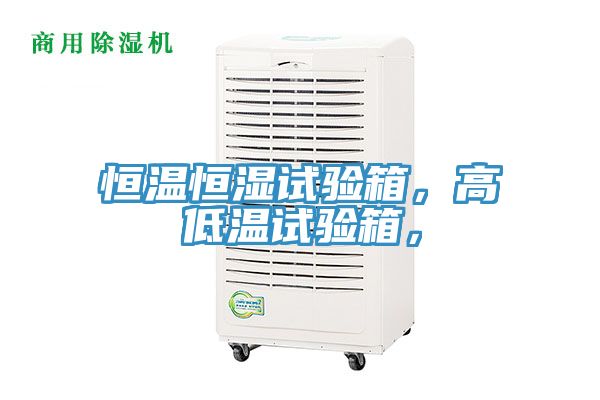 恒温恒湿试验箱，高低温试验箱，