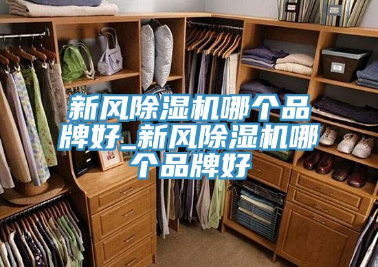 新风除湿机哪个品牌好_新风除湿机哪个品牌好