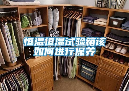 恒温恒湿试验箱该如何进行保养
