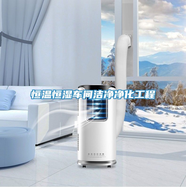 恒温恒湿车间洁净净化工程