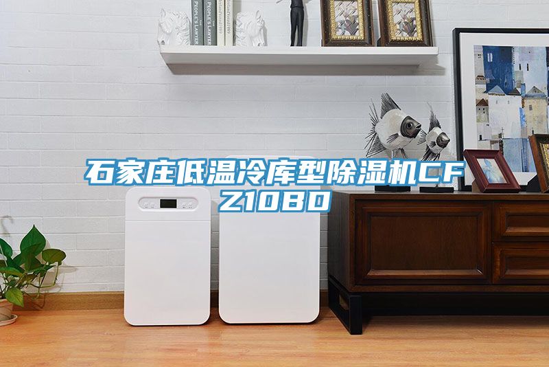 石家庄低温冷库型除湿机CFZ10BD