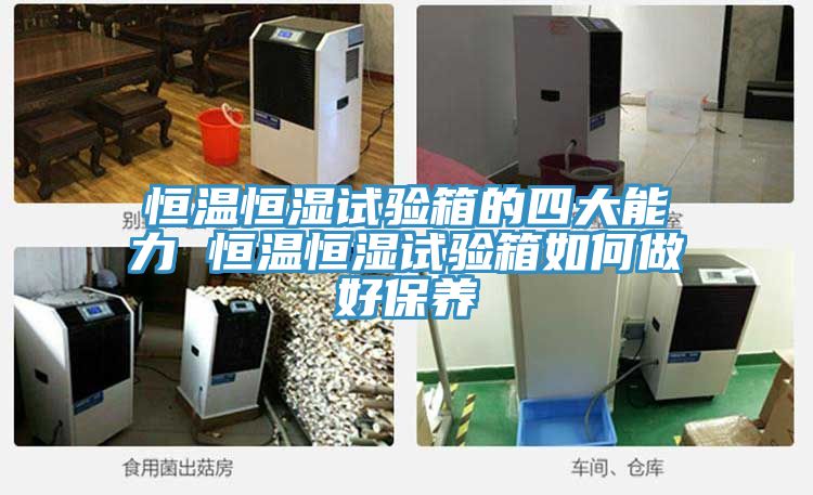 恒温恒湿试验箱的四大能力 恒温恒湿试验箱如何做好保养