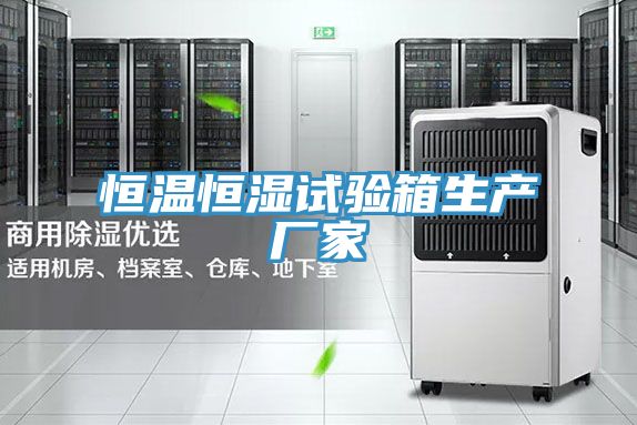 恒温恒湿试验箱生产厂家