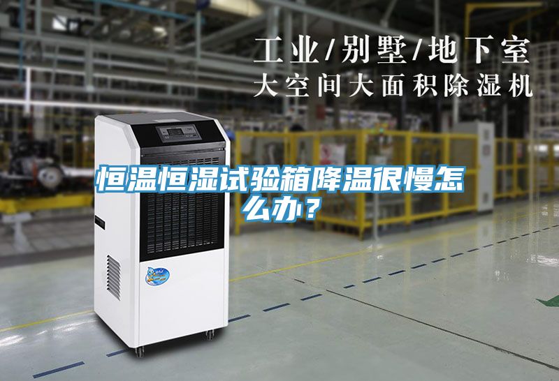 恒温恒湿试验箱降温很慢怎么办？
