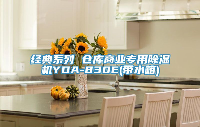 经典系列 仓库商业专用除湿机YDA-830E(带水箱)