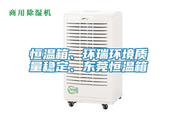 恒温箱、环瑞环境质量稳定、东莞恒温箱