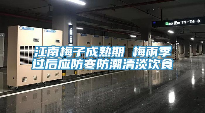 江南梅子成熟期 梅雨季过后应防寒防潮清淡饮食