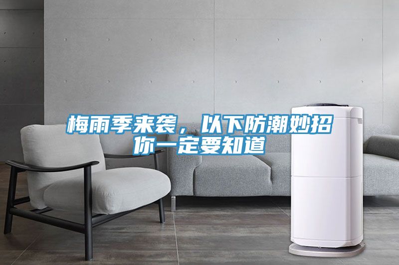梅雨季来袭，以下防潮妙招你一定要知道