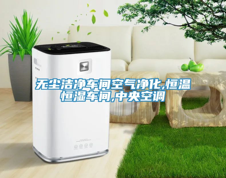 无尘洁净车间空气净化,恒温恒湿车间,中央空调