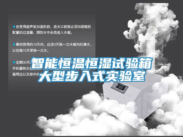 智能恒温恒湿试验箱大型步入式实验室