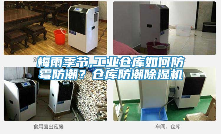 梅雨季节,工业仓库如何防霉防潮？仓库防潮除湿机