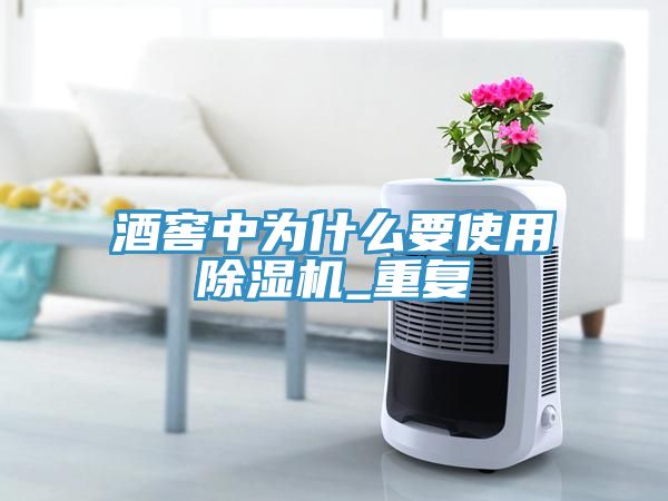 酒窖中为什么要使用除湿机_重复