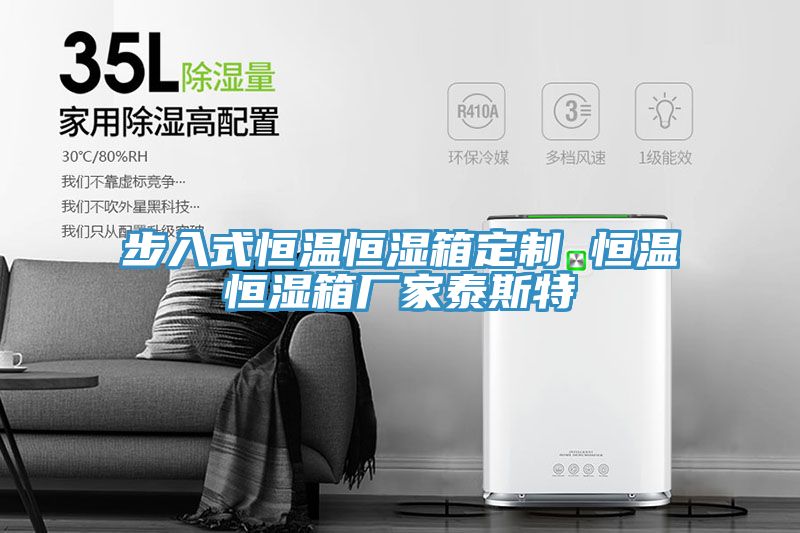 步入式恒温恒湿箱定制 恒温恒湿箱厂家泰斯特