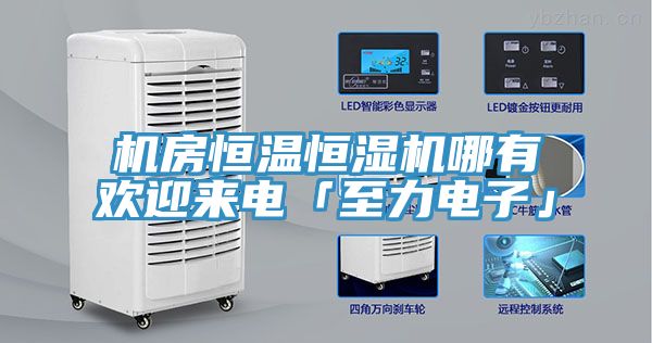 机房恒温恒湿机哪有欢迎来电「至力电子」